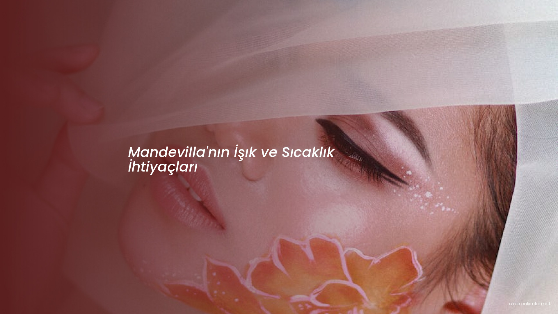 Mandevilla'nın İşık ve Sıcaklık İhtiyaçları