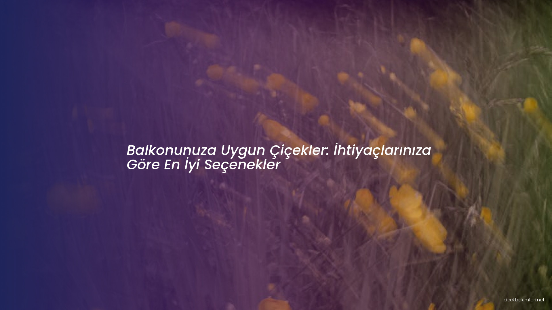 Balkonunuza Uygun Çiçekler: İhtiyaçlarınıza Göre En İyi Seçenekler
