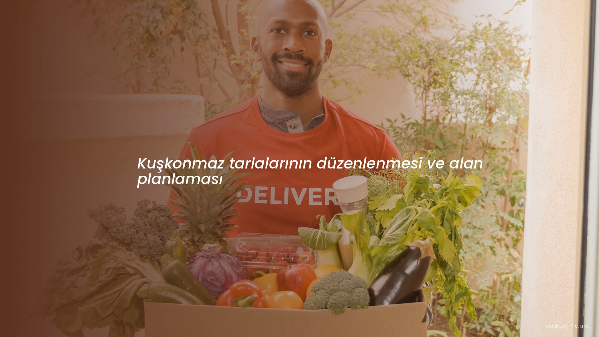 Kuşkonmaz tarlalarının düzenlenmesi ve alan planlaması