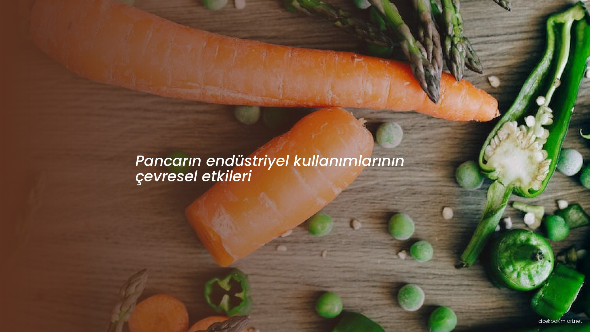 Pancarın endüstriyel kullanımlarının çevresel etkileri