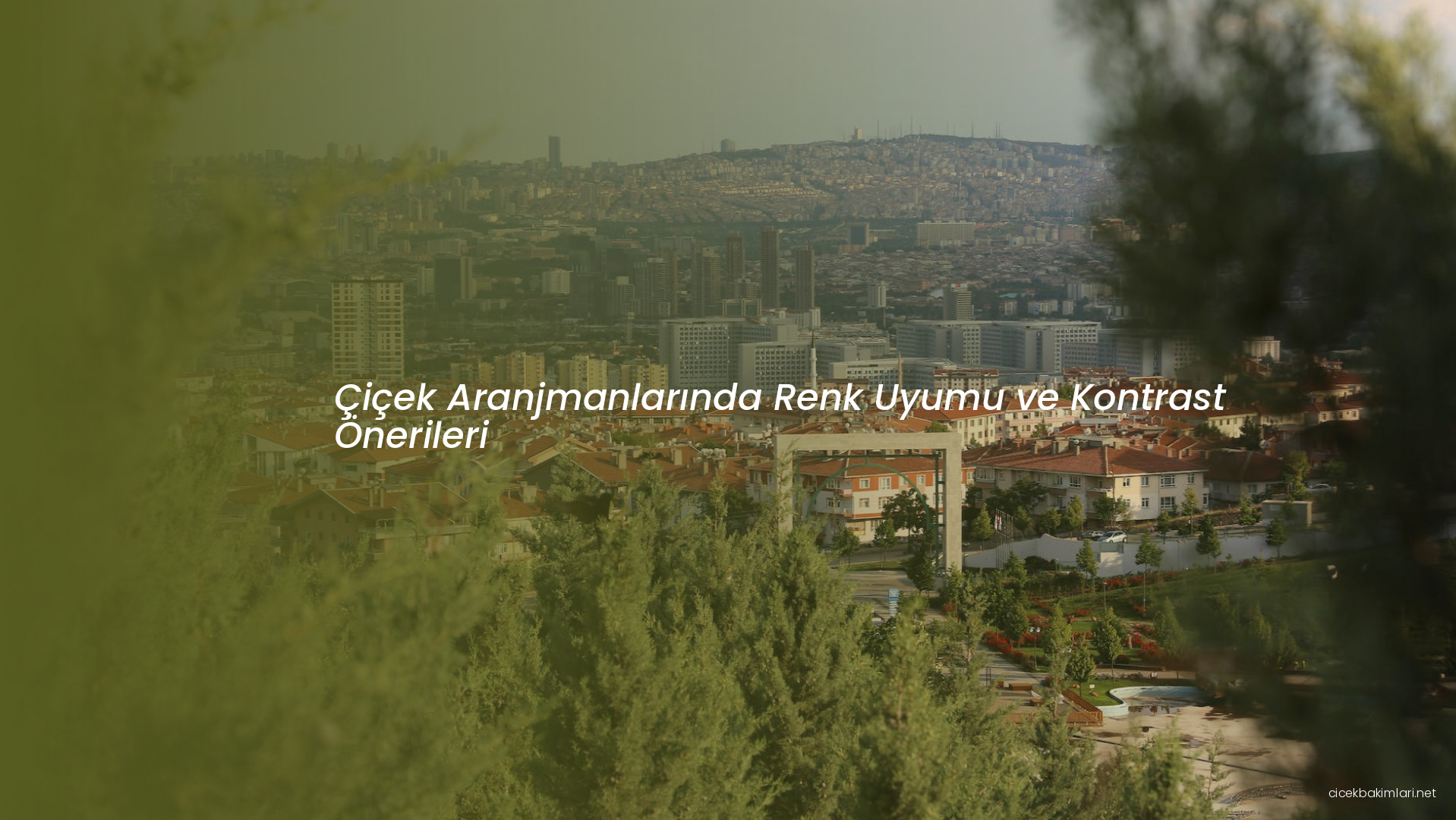 Çiçek Aranjmanlarında Renk Uyumu ve Kontrast Önerileri