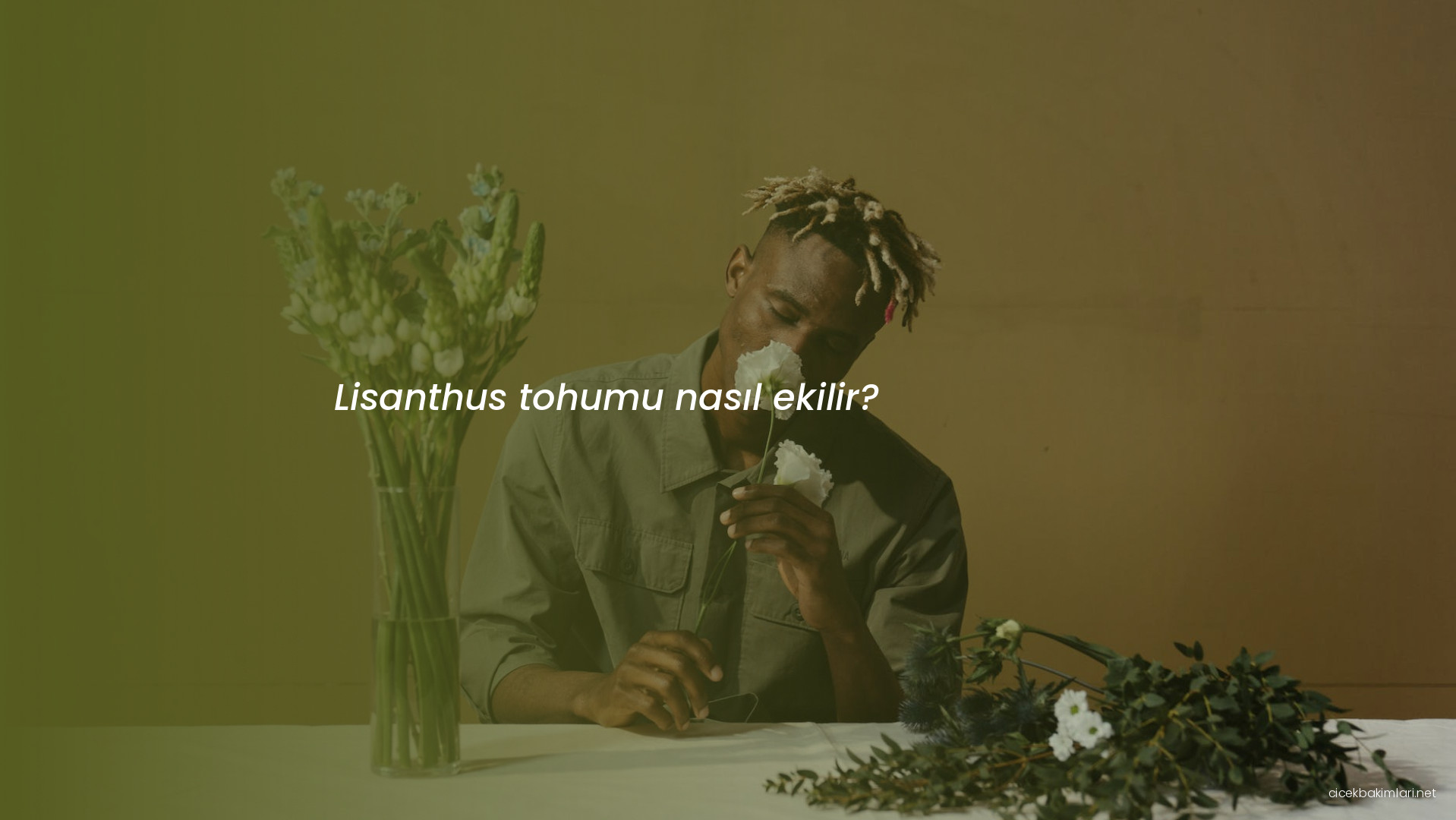 Lisanthus tohumu nasıl ekilir?