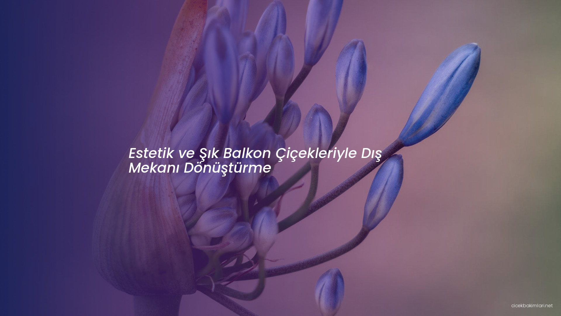 Estetik ve Şık Balkon Çiçekleriyle Dış Mekanı Dönüştürme