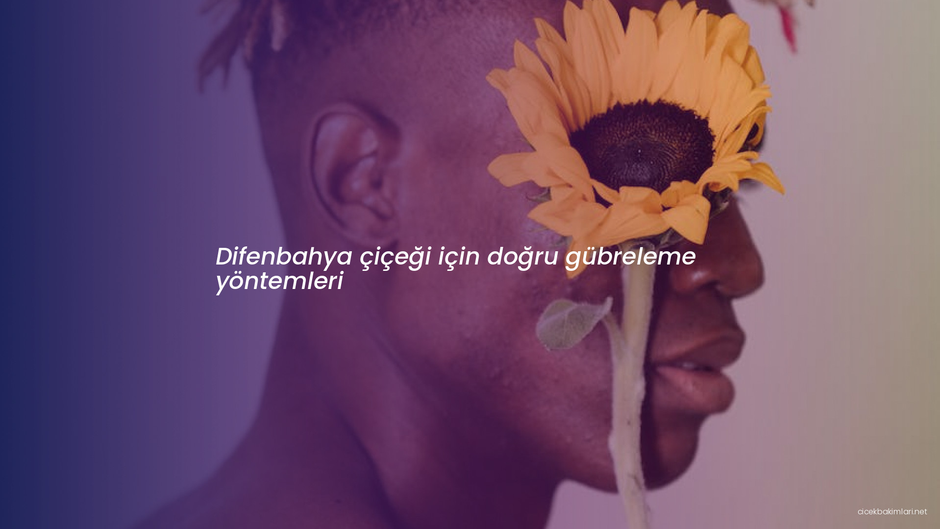 Difenbahya çiçeği için doğru gübreleme yöntemleri