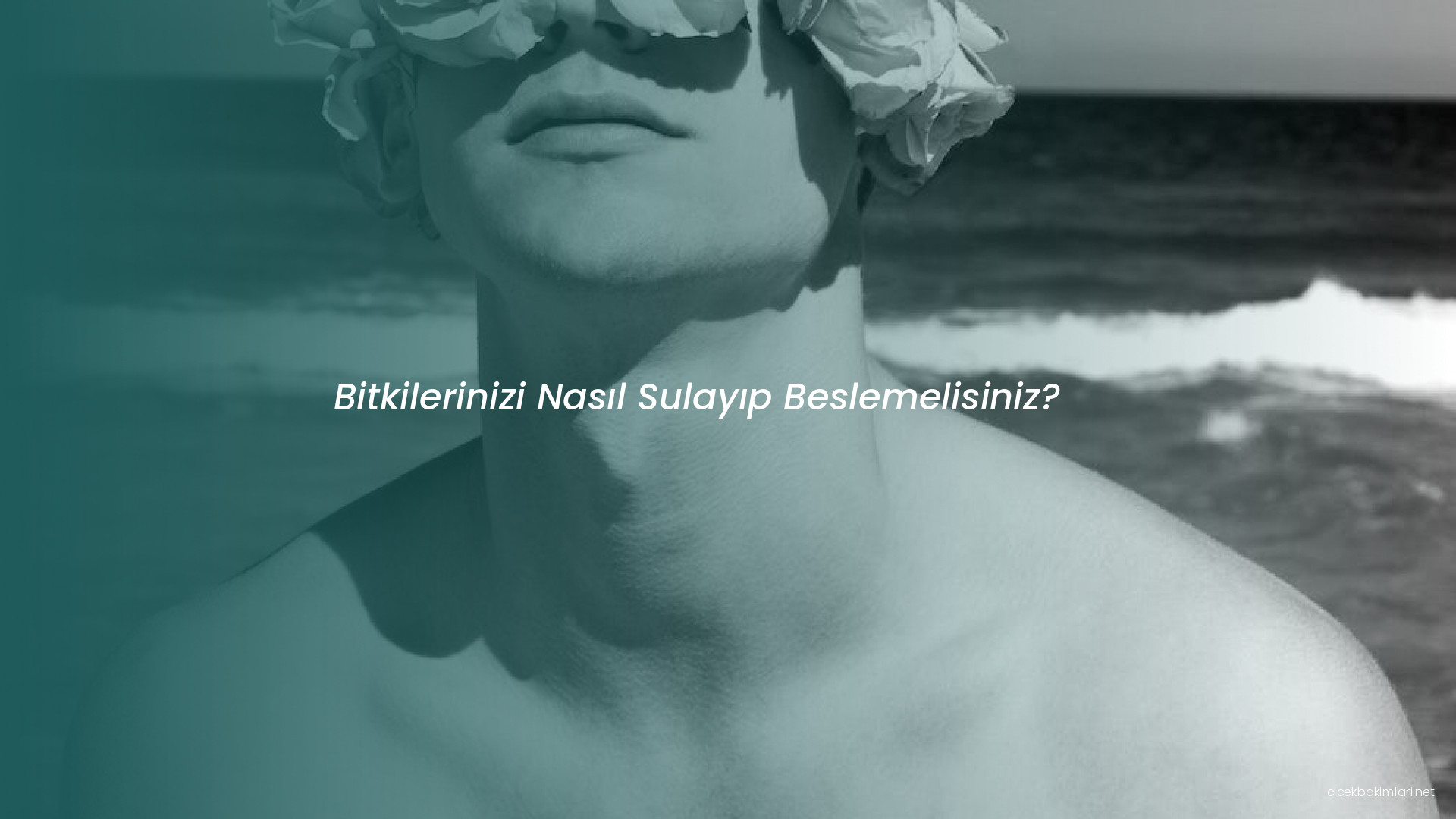 Bitkilerinizi Nasıl Sulayıp Beslemelisiniz?