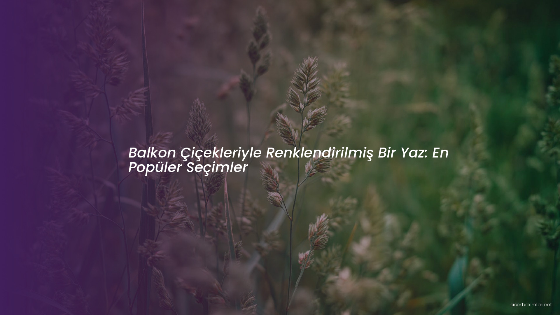 Balkon Çiçekleriyle Renklendirilmiş Bir Yaz: En Popüler Seçimler