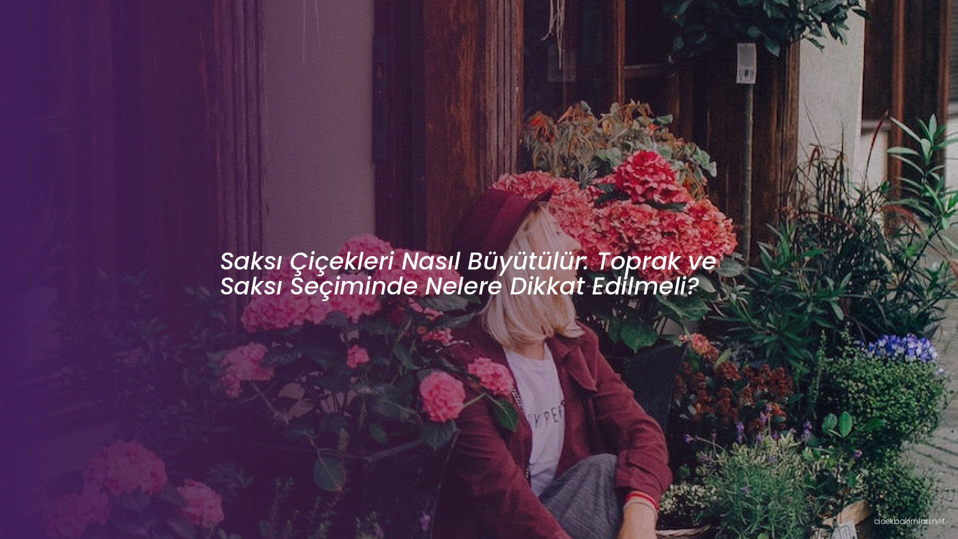 Saksı Çiçekleri Nasıl Büyütülür: Toprak ve Saksı Seçiminde Nelere Dikkat Edilmeli?