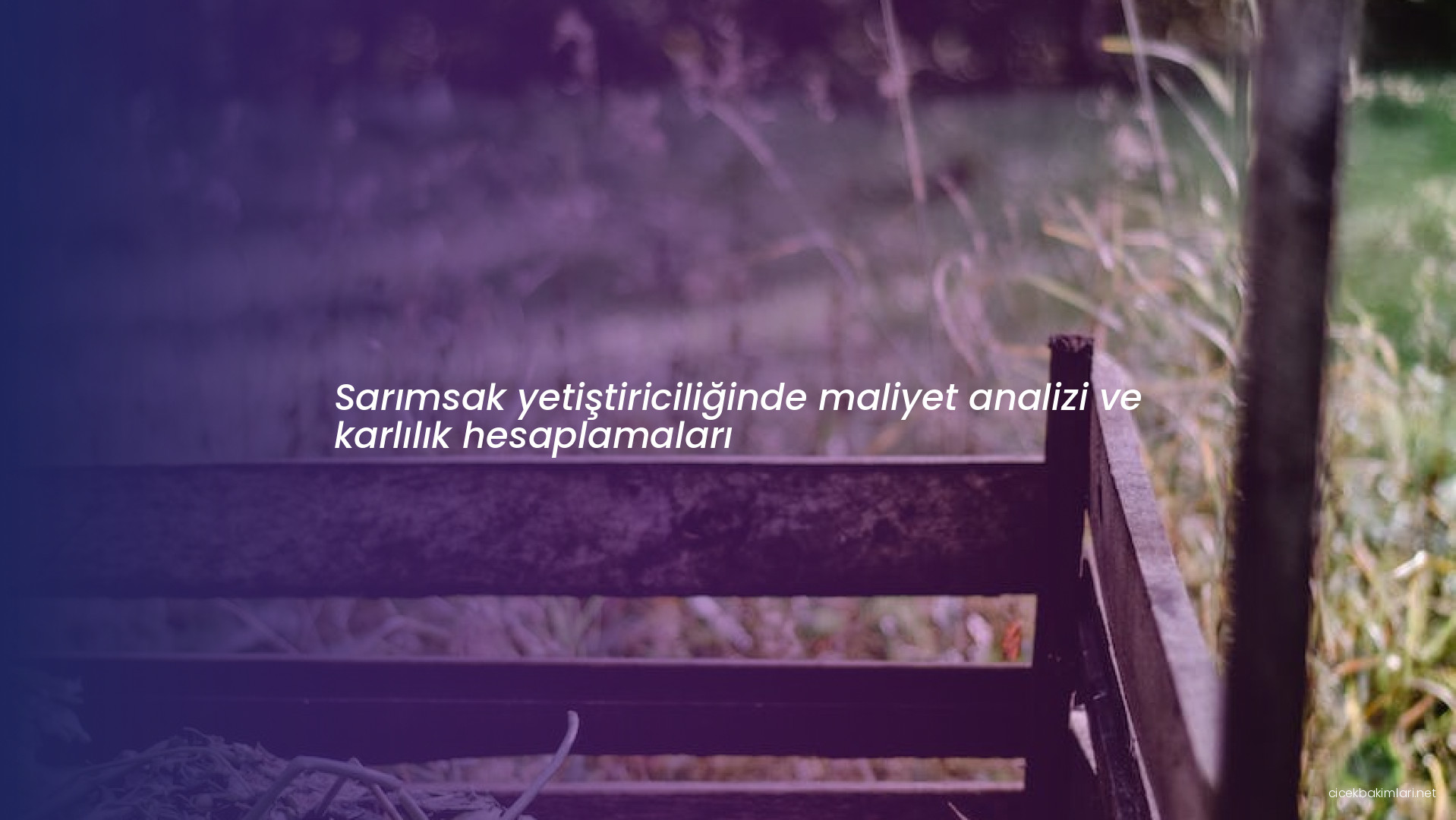 Sarımsak yetiştiriciliğinde maliyet analizi ve karlılık hesaplamaları